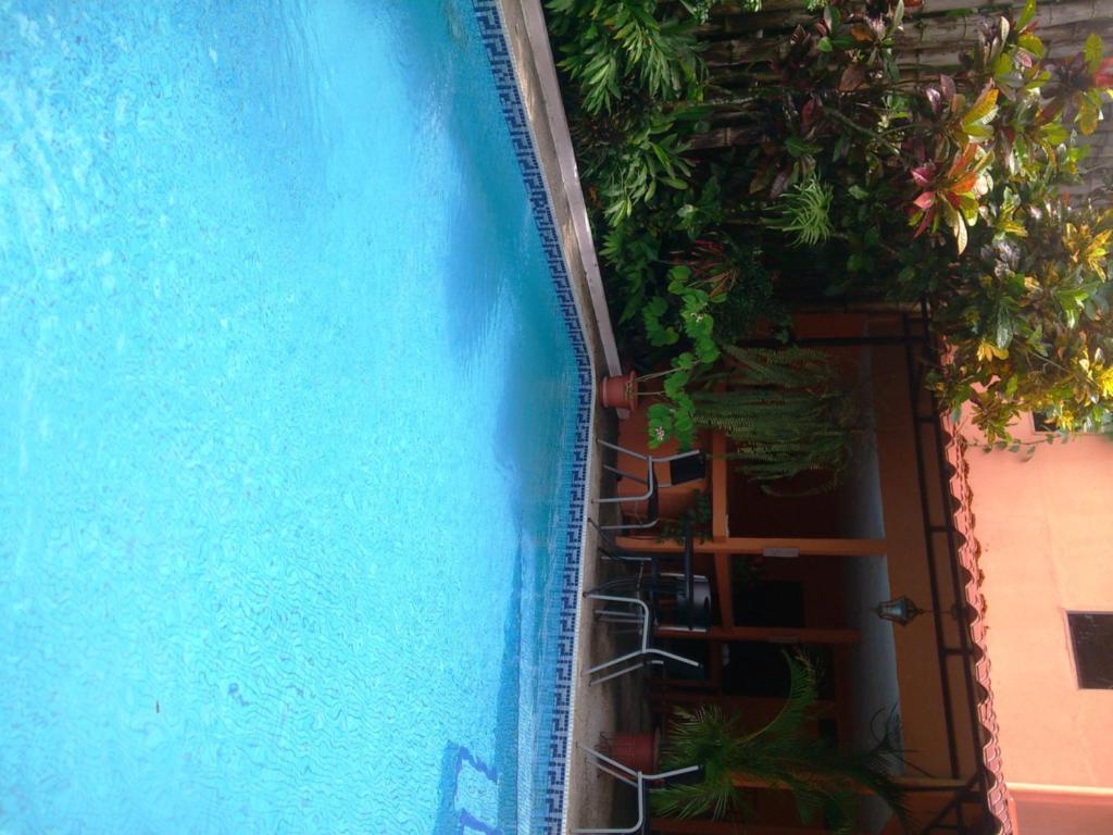 Inn On The Park Manuel Antonio Eksteriør bilde